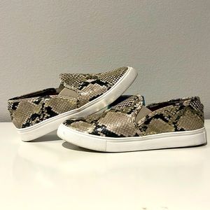 Steve Madden Snake Slip Ons - Size 7 (Womens)